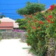 ヒメ日記 2025/08/18 18:48 投稿 ひめか 熟女の風俗最終章 高崎店