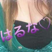 ヒメ日記 2025/04/12 20:06 投稿 はるな 熟女総本店 日本橋ミナミエリア店