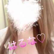 ヒメ日記 2025/04/28 11:46 投稿 はるな 熟女総本店 日本橋ミナミエリア店