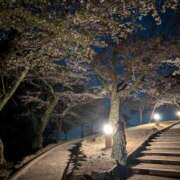 ヒメ日記 2025/04/12 18:20 投稿 のん リアル 京橋店