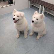 ヒメ日記 2025/05/24 18:25 投稿 のん リアル 京橋店