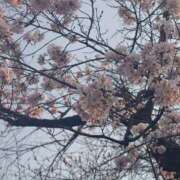 ヒメ日記 2025/04/04 18:19 投稿 みんみ One More 奥様　松戸店