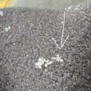 ヒメ日記 2026/02/08 13:24 投稿 みんみ One More 奥様　松戸店