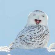 ヒメ日記 2026/02/16 13:14 投稿 みんみ One More 奥様　松戸店