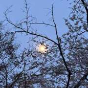 ヒメ日記 2026/03/31 15:34 投稿 みんみ One More 奥様　松戸店