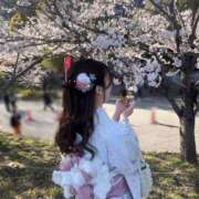 ヒメ日記 2025/04/09 22:26 投稿 ゆら 鹿鳴館