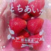 ヒメ日記 2025/04/01 15:55 投稿 みそら モアグループ宇都宮人妻花壇