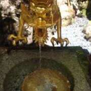 ヒメ日記 2025/04/02 11:00 投稿 みそら モアグループ宇都宮人妻花壇