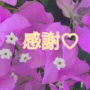 ヒメ日記 2025/04/19 00:01 投稿 みそら モアグループ宇都宮人妻花壇