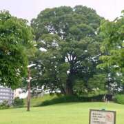 ヒメ日記 2025/07/05 08:07 投稿 みそら モアグループ宇都宮人妻花壇