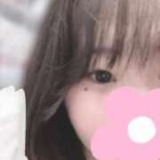 ヒメ日記 2025/03/31 12:45 投稿 みい ぽちゃSPA