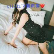 ヒメ日記 2025/05/23 17:04 投稿 夢乃うさぎ-USAGI- Casual Rich 5（カジュアルリッチファイブ）