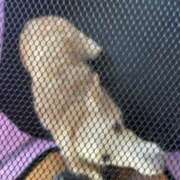 ヒメ日記 2025/04/02 09:26 投稿 のの ぼくらのデリヘルランドin久喜店