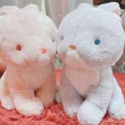 ヒメ日記 2025/04/02 16:46 投稿 のの ぼくらのデリヘルランドin久喜店