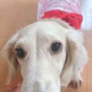 ヒメ日記 2025/07/11 11:56 投稿 のの ぼくらのデリヘルランドin久喜店