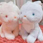 ヒメ日記 2025/09/18 09:46 投稿 のの ぼくらのデリヘルランドin久喜店