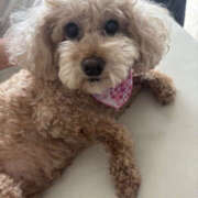 ヒメ日記 2025/11/02 12:00 投稿 まなつ 性腺熟女100％（デリヘル市場）