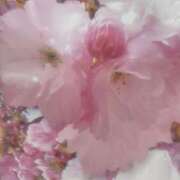 ヒメ日記 2025/04/01 12:24 投稿 まなみ 池袋おかあさん