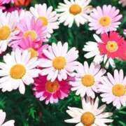 ヒメ日記 2025/05/07 12:24 投稿 まなみ 池袋おかあさん