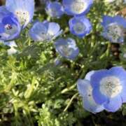 ヒメ日記 2025/04/13 00:06 投稿 有栖とまと 宇都宮CLUB