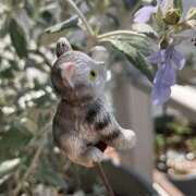 ヒメ日記 2025/04/17 10:36 投稿 有栖とまと 宇都宮CLUB