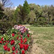 ヒメ日記 2025/04/27 09:06 投稿 有栖とまと 宇都宮CLUB