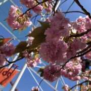 ヒメ日記 2025/05/08 17:56 投稿 有栖とまと 宇都宮CLUB