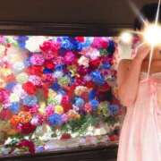 ヒメ日記 2025/06/03 07:56 投稿 有栖とまと 宇都宮CLUB