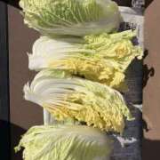 ヒメ日記 2025/11/10 14:56 投稿 有栖とまと 宇都宮CLUB