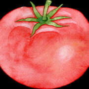 ヒメ日記 2025/12/07 17:06 投稿 有栖とまと 宇都宮CLUB