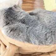 ヒメ日記 2026/01/21 10:50 投稿 有栖とまと 宇都宮CLUB