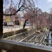 ヒメ日記 2026/03/23 06:30 投稿 有栖とまと 宇都宮CLUB