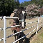 ヒメ日記 2026/04/13 00:01 投稿 有栖とまと 宇都宮CLUB