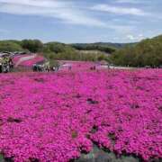 ヒメ日記 2026/04/20 00:01 投稿 有栖とまと 宇都宮CLUB