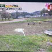 ヒメ日記 2026/04/27 15:10 投稿 有栖とまと 宇都宮CLUB