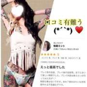 ヒメ日記 2025/04/28 21:56 投稿 桜庭ミント 宇都宮CLUB