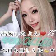 ヒメ日記 2025/05/25 14:16 投稿 桜庭ミント 宇都宮CLUB