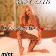 ヒメ日記 2025/06/01 02:06 投稿 桜庭ミント 宇都宮CLUB