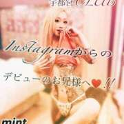 ヒメ日記 2025/06/02 00:06 投稿 桜庭ミント 宇都宮CLUB