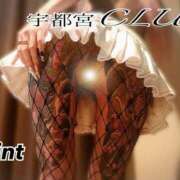 ヒメ日記 2025/06/03 12:06 投稿 桜庭ミント 宇都宮CLUB