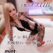ヒメ日記 2025/06/06 00:16 投稿 桜庭ミント 宇都宮CLUB