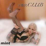 ヒメ日記 2025/06/28 23:16 投稿 桜庭ミント 宇都宮CLUB