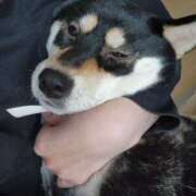 ヒメ日記 2025/04/06 22:06 投稿 上川いつき 宇都宮CLUB