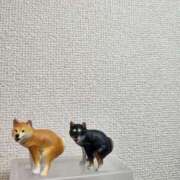 ヒメ日記 2025/04/20 23:16 投稿 上川いつき 宇都宮CLUB