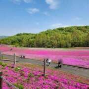 ヒメ日記 2025/04/27 17:06 投稿 上川いつき 宇都宮CLUB