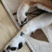 ヒメ日記 2025/04/28 15:16 投稿 上川いつき 宇都宮CLUB