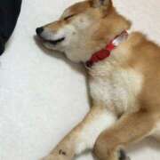 ヒメ日記 2025/04/29 10:46 投稿 上川いつき 宇都宮CLUB