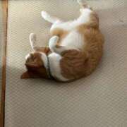 ヒメ日記 2025/05/18 20:06 投稿 上川いつき 宇都宮CLUB