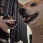 ヒメ日記 2025/06/04 09:06 投稿 上川いつき 宇都宮CLUB