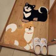 ヒメ日記 2025/06/09 11:36 投稿 上川いつき 宇都宮CLUB